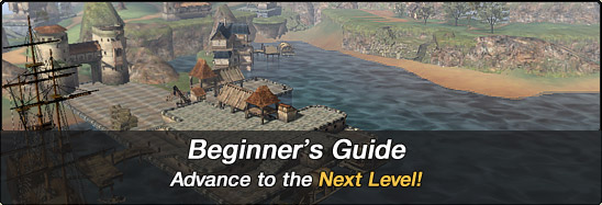Beginner's Guide